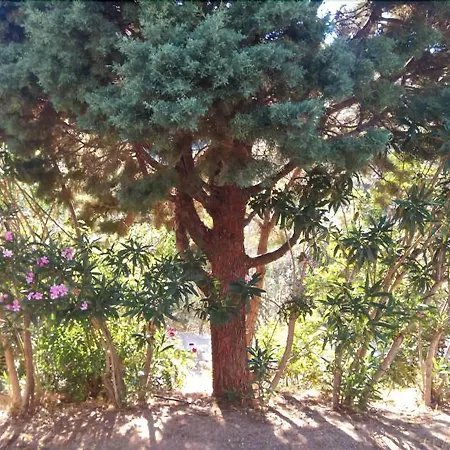 L'oleandro Hotel Villasimius