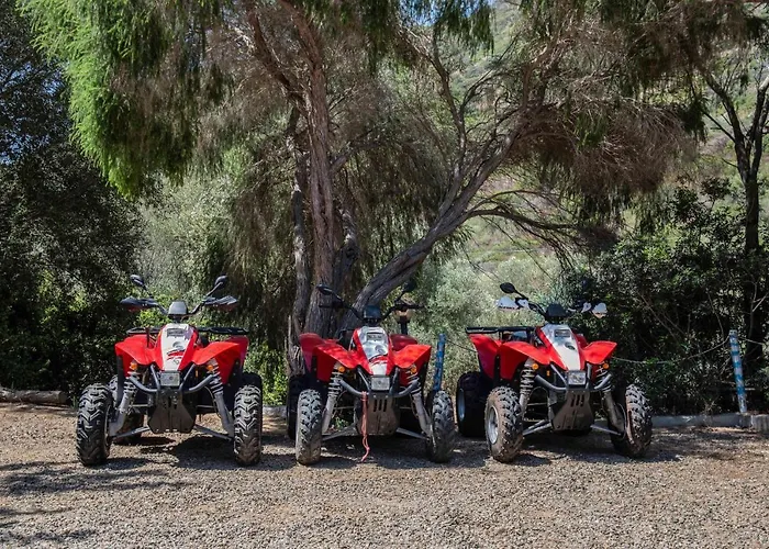 L'oleandro Villasimius