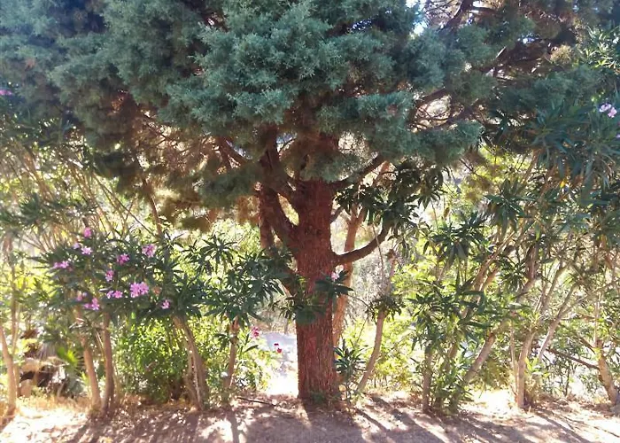 L'oleandro Szálloda Villasimius